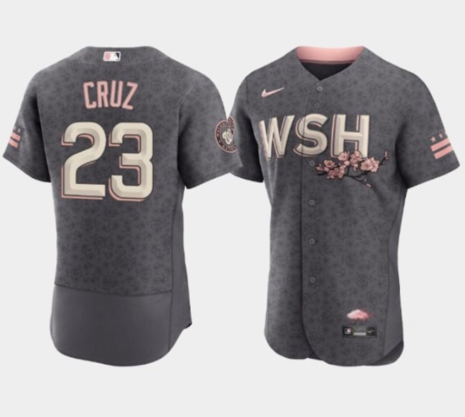 MLB Nationals 23 Nelson Cruz 2022 Gray City Connect Cherry Blossom Nike Flexbase Men Jersey