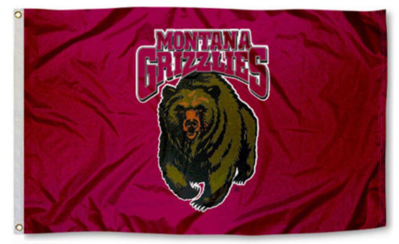 NBA Memphis Grizzlies Team Flag 3