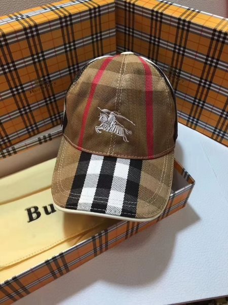 Brown Fashion Hat a35