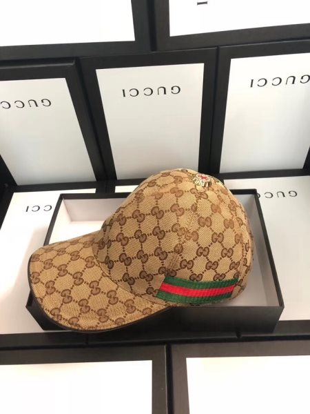 Brown Fashion Hat 1240