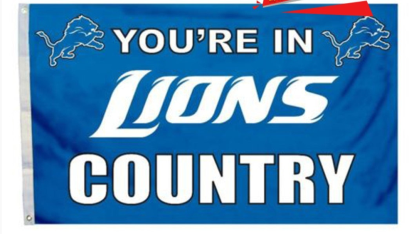 NFL Detroit Lions Team Flag 4