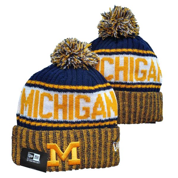 NCAA Michigan Wolverines Knit Hat
