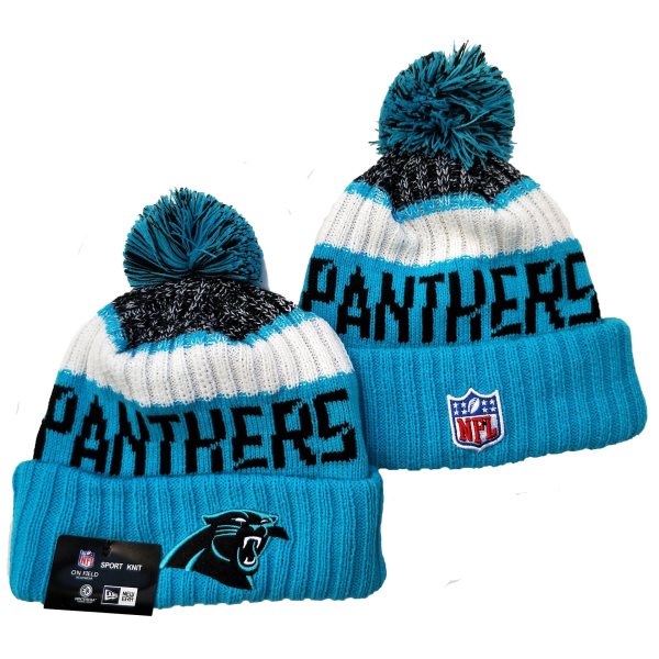 NFL Panthers Team Logo Blue Pom Knit Hat YD (1)