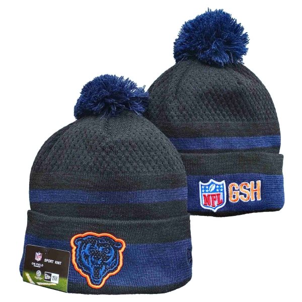 NFL Bears 2021 Knit Hat