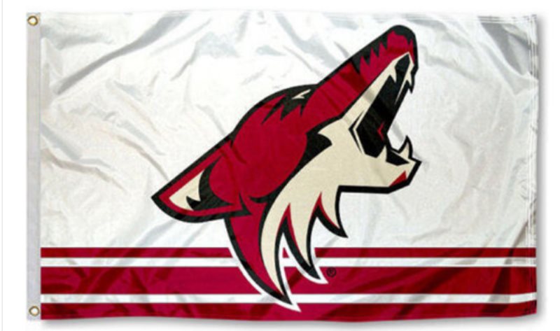 NHL Arizona Coyotes Team Flag 1