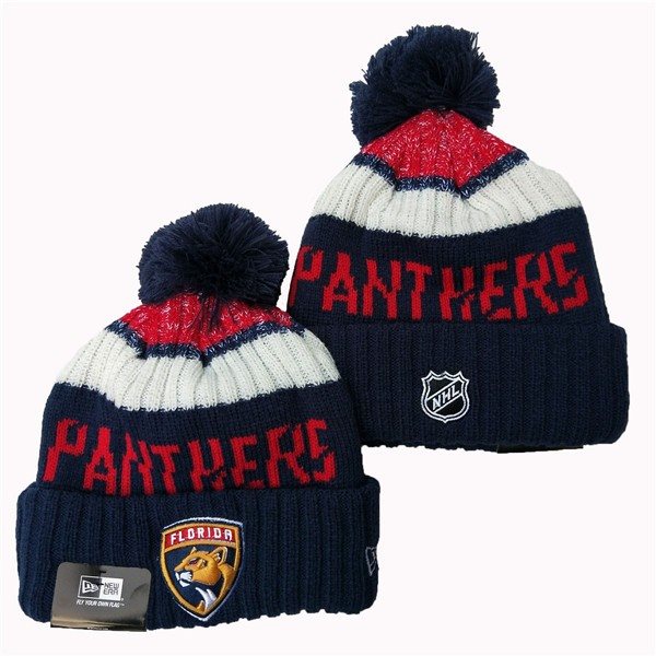 Florida Panthers Knit Hats 001