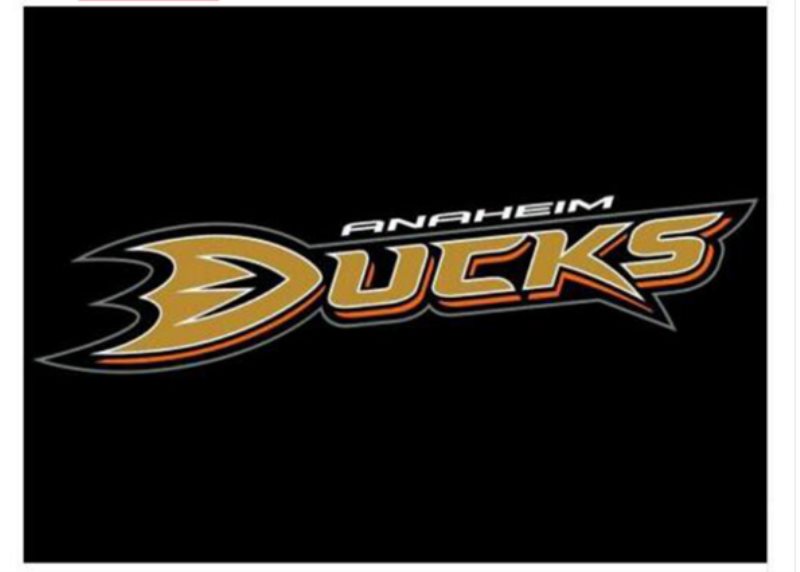 NHL Anaheim Ducks Team Flag 2