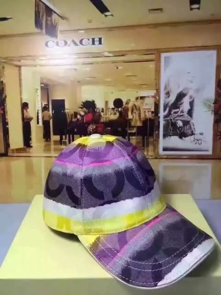 Purple Fashion Hat 1520