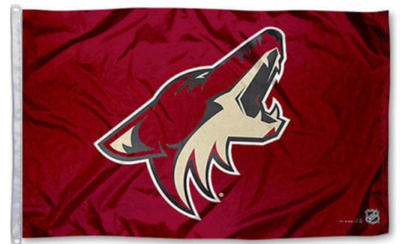 NHL Arizona Coyotes Team Flag 2