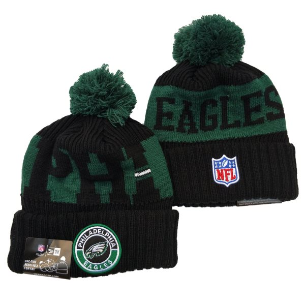 2020 NFL Philadelphia Eagles Big Logo Knit Hat