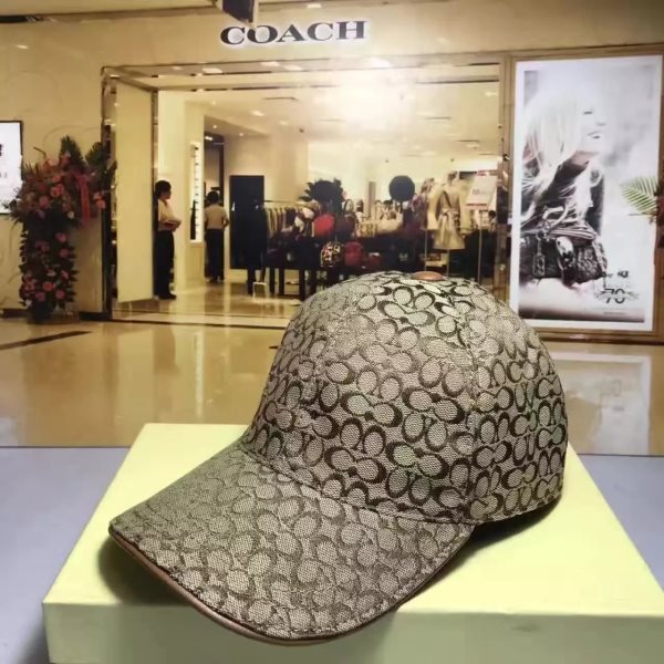 Brown Fashion Hat 1524