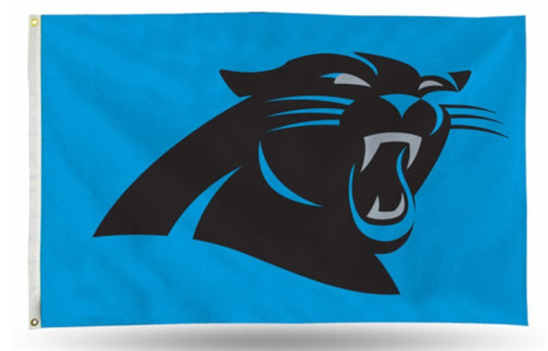 NFL Carolina Panthers Team Flag 1