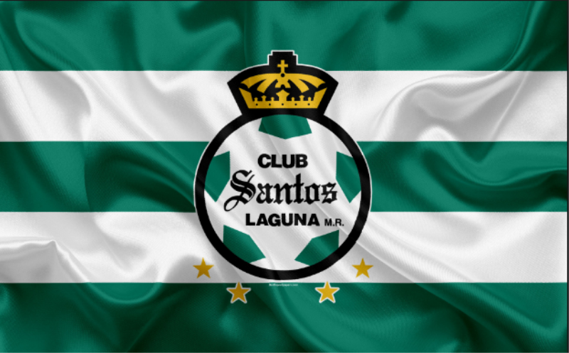 escudo de santos FC Team Flag