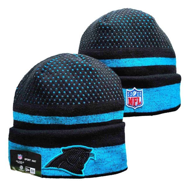 NFL Panthers 2021 New Knit Hat