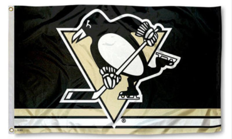 NHL Pittsburgh Penguins Team Flag 3