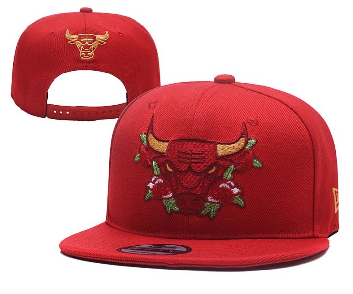 NBA Bulls Team Logo Red Adjustable Hat YD