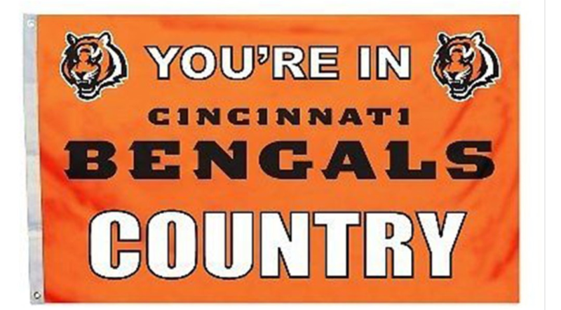 NFL Cincinnati Bengals Team Flag 2