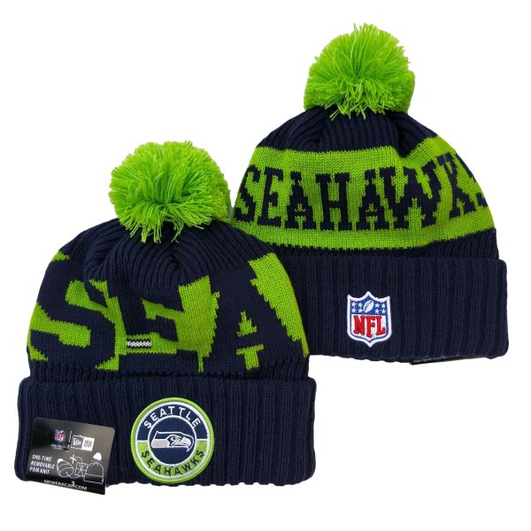 2020 NFL Seattle Seahawks Big Logo Knit Hat